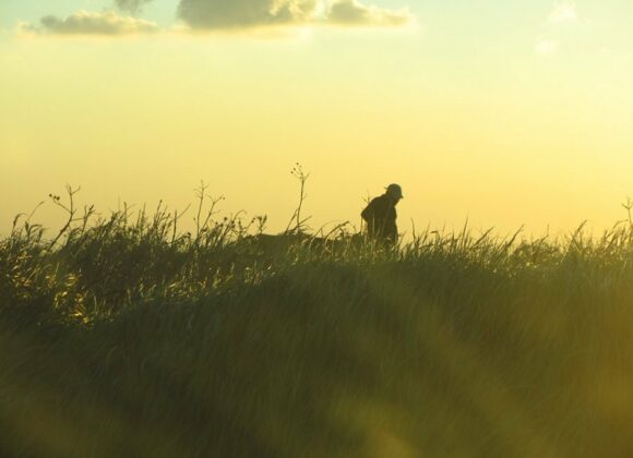 Domingo III Tiempo Ordinario A